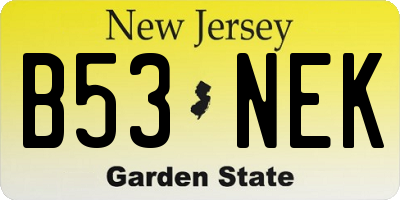 NJ license plate B53NEK