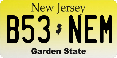 NJ license plate B53NEM