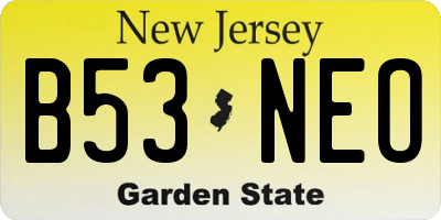 NJ license plate B53NEO
