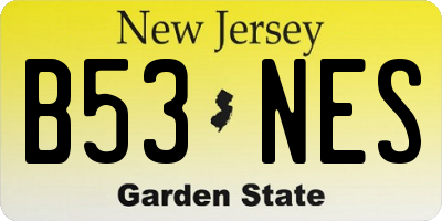 NJ license plate B53NES