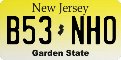 NJ license plate B53NHO