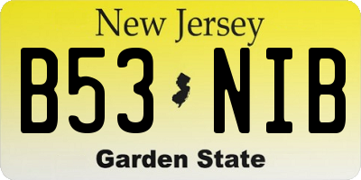 NJ license plate B53NIB
