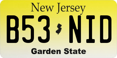 NJ license plate B53NID