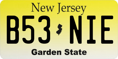 NJ license plate B53NIE