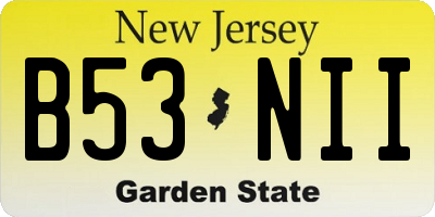 NJ license plate B53NII