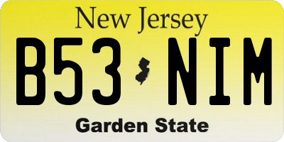 NJ license plate B53NIM