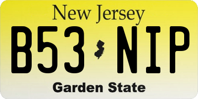 NJ license plate B53NIP