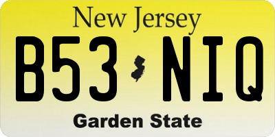 NJ license plate B53NIQ