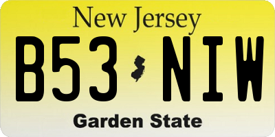 NJ license plate B53NIW