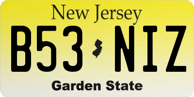 NJ license plate B53NIZ