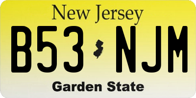 NJ license plate B53NJM