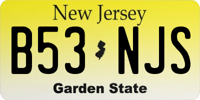 NJ license plate B53NJS
