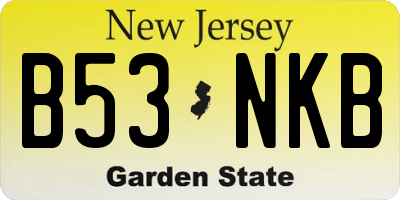 NJ license plate B53NKB