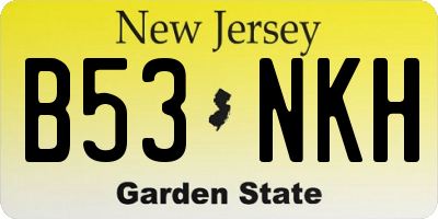 NJ license plate B53NKH