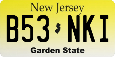 NJ license plate B53NKI