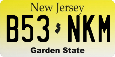 NJ license plate B53NKM