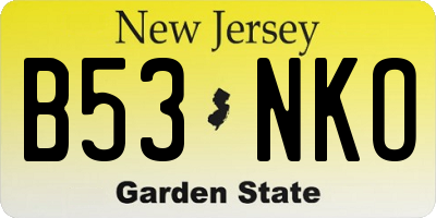 NJ license plate B53NKO