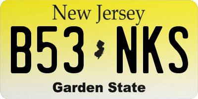 NJ license plate B53NKS