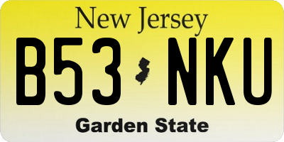 NJ license plate B53NKU