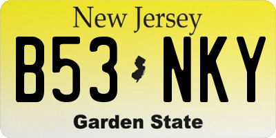 NJ license plate B53NKY