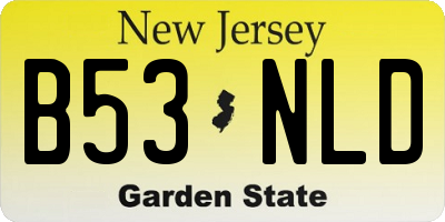 NJ license plate B53NLD