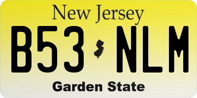 NJ license plate B53NLM