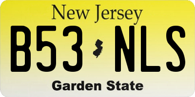 NJ license plate B53NLS