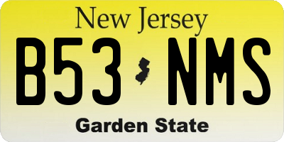NJ license plate B53NMS