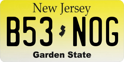 NJ license plate B53NOG