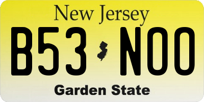NJ license plate B53NOO