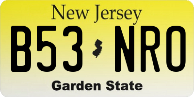 NJ license plate B53NRO
