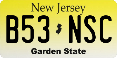 NJ license plate B53NSC