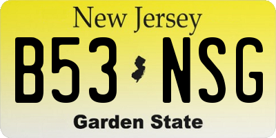 NJ license plate B53NSG