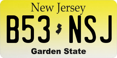 NJ license plate B53NSJ