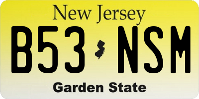 NJ license plate B53NSM