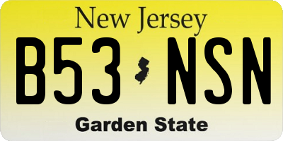 NJ license plate B53NSN