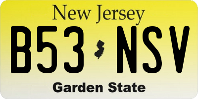 NJ license plate B53NSV