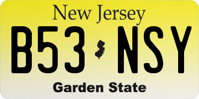 NJ license plate B53NSY