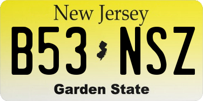 NJ license plate B53NSZ