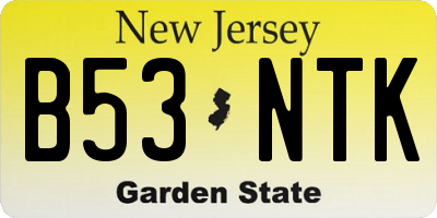 NJ license plate B53NTK