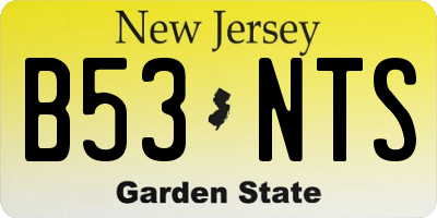 NJ license plate B53NTS