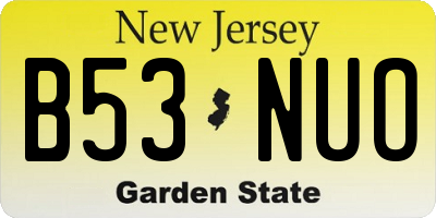NJ license plate B53NUO