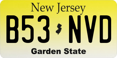 NJ license plate B53NVD