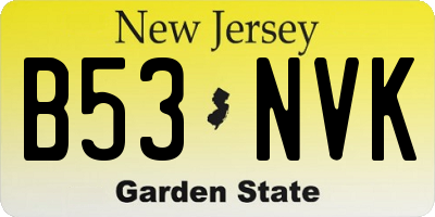 NJ license plate B53NVK