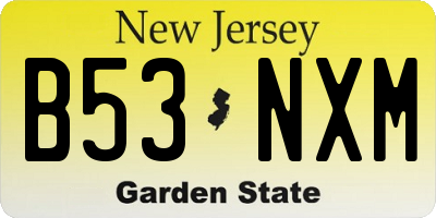 NJ license plate B53NXM