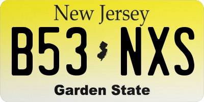 NJ license plate B53NXS