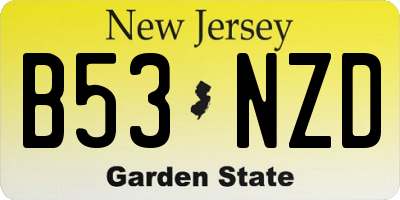 NJ license plate B53NZD