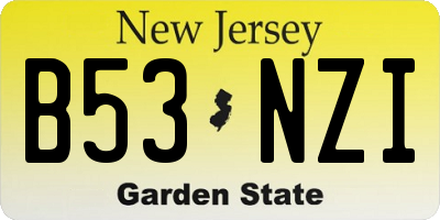 NJ license plate B53NZI