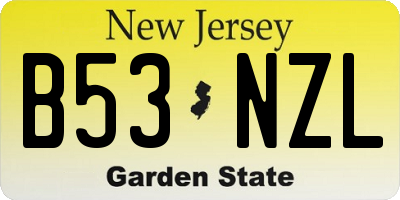 NJ license plate B53NZL