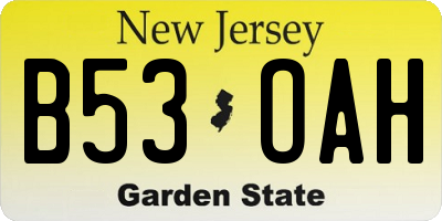 NJ license plate B53OAH